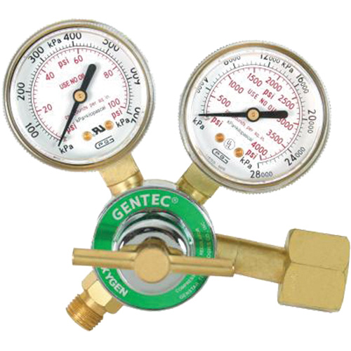 Light-Duty Single Stage Regulator, Oxygen, CGA540 Inlet Cam Industrial