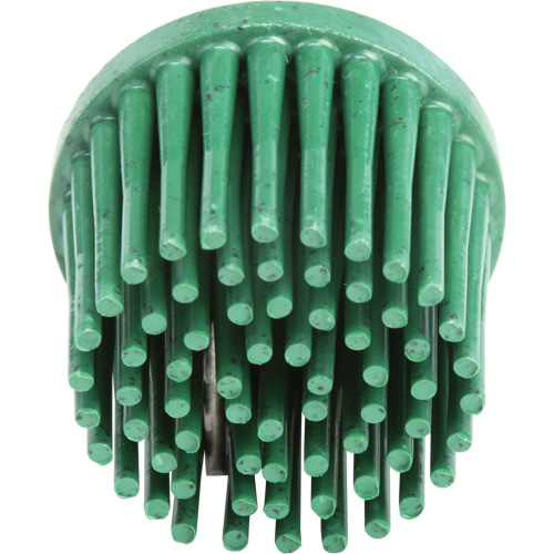 Disques bristle Roloc, Grain 120, 1" dia. Cam Industrial