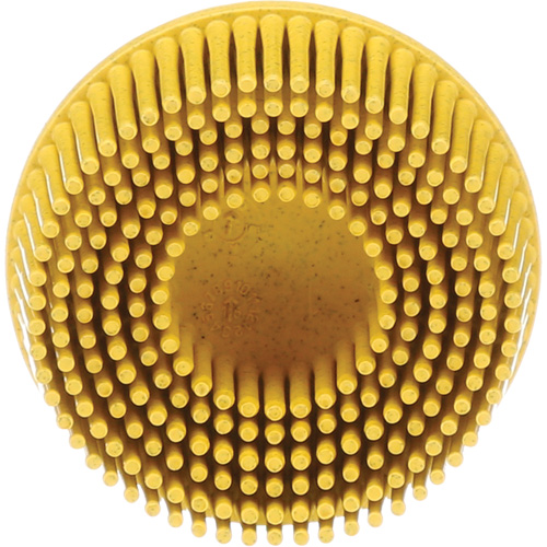 Scotch-Brite Roloc Bristle Discs, 80 Grit, 2" Dia. Cam Industrial