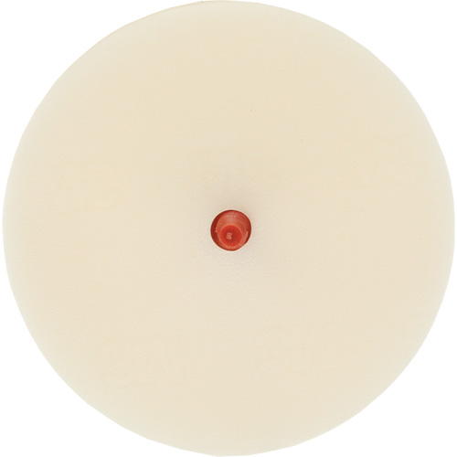 Disque pour enlever les bandes et les adh&eacute;sifs pour moulures Scotch-Brite, 4" dia. Cam Industrial