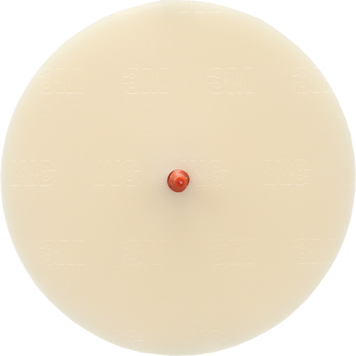 Disque Scotch-Brite 7502 pour retrait de colle et de bandes de moulage, 6" dia. Cam Industrial