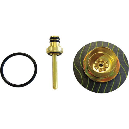 Filtreur/R&eacute;gulateur - Diaphragme & Soupape Cam Industrial