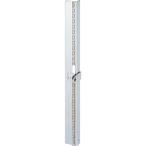 Charni&egrave;re verrouillable pour boîtes &agrave; compartiments Cam Industrial