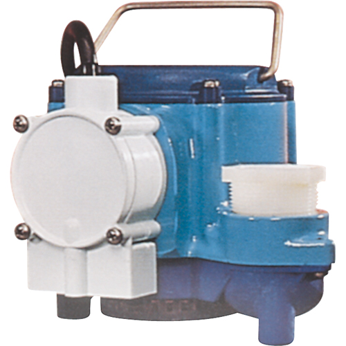 Pompes submersibles, 1/3 CV, 46 gal./h, 115 V, 9 A Cam Industrial