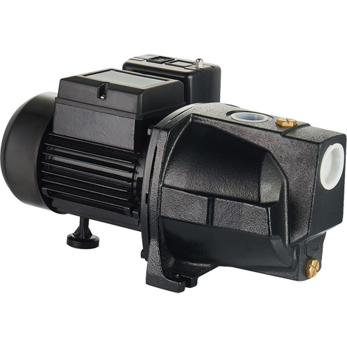 Dual Voltage Cast Iron Shallow Well Jet Pump, 115 V/230 V, 1100 GPH, 1 HP Cam Industrial