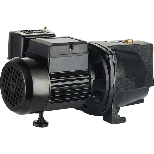 Dual Voltage Cast Iron Shallow Well Jet Pump, 115 V/230 V, 1100 GPH, 1 HP Cam Industrial
