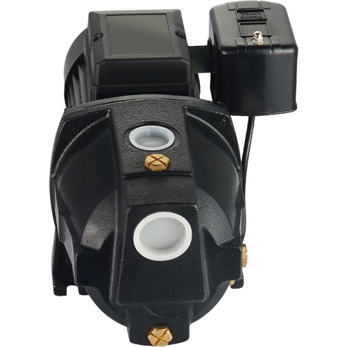 Dual Voltage Cast Iron Shallow Well Jet Pump, 115 V/230 V, 1100 GPH, 1 HP Cam Industrial