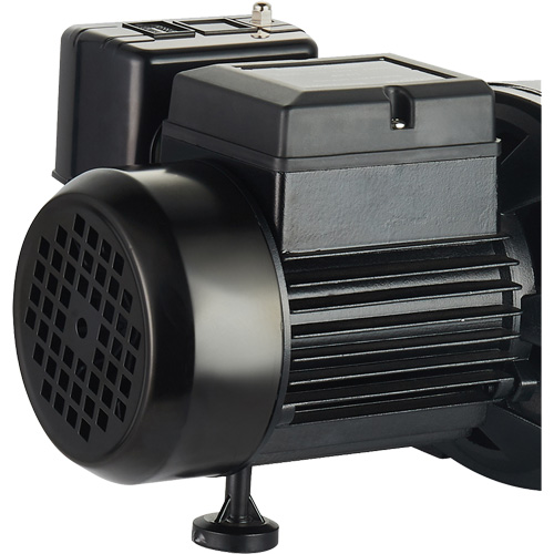 Dual Voltage Cast Iron Shallow Well Jet Pump, 115 V/230 V, 1100 GPH, 1 HP Cam Industrial