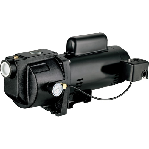 Pompe &agrave; jet en fonte &agrave; double tension pour puit peu profond, 115 V/230 V, 1260 gal./h, 1 CV Cam Industrial