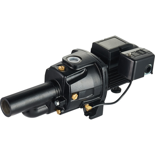 Dual Voltage Cast Iron Convertible Jet Pump, 115 V/230 V, 1100 GPH, 1/2 HP Cam Industrial