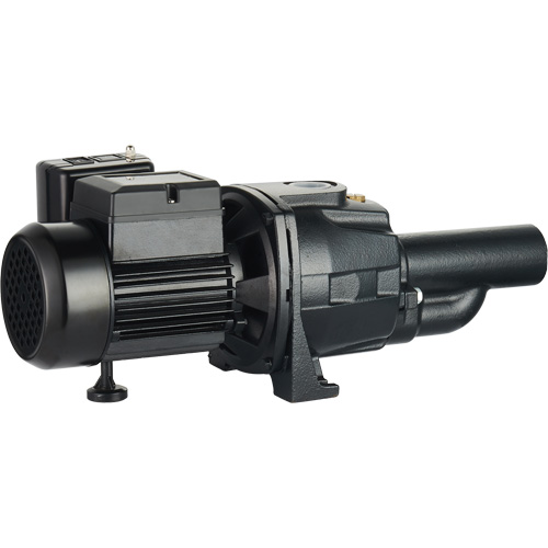 Dual Voltage Cast Iron Convertible Jet Pump, 115 V/230 V, 1100 GPH, 1/2 HP Cam Industrial