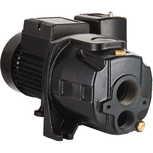 Dual Voltage Cast Iron Convertible Jet Pump, 115 V/230 V, 1100 GPH, 1/2 HP Cam Industrial