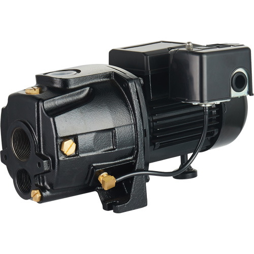 Dual Voltage Cast Iron Convertible Jet Pump, 115 V/230 V, 1100 GPH, 1/2 HP Cam Industrial