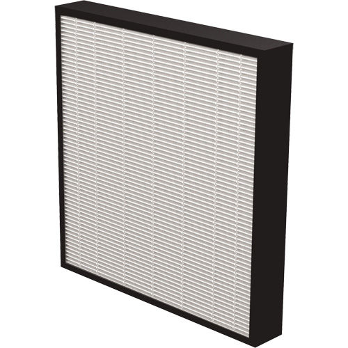 V&eacute;ritables filtres HEPA AeraMax Pro AM3 & AM4 2", Boîte, 13,75" la x 2,25" p x 14,38" h Cam Industrial