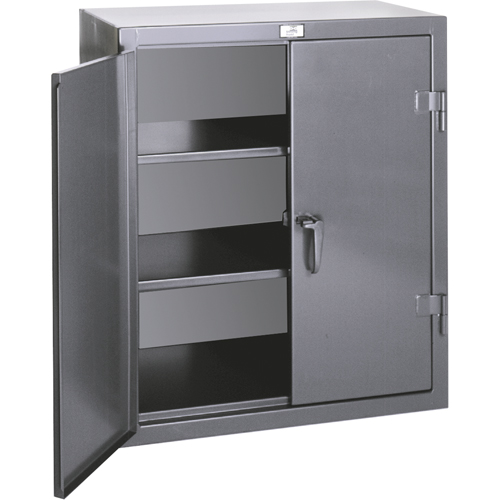 Armoires de rangement hauteur comptoir, Acier, 2 Tablettes, 36" h x 24" la x 20" P, Gris Cam Industrial