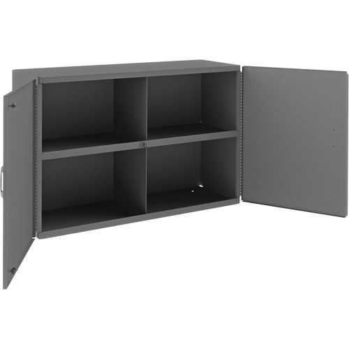 Wall-Mountable Cabinet, 24" H x 33-13/16" W x 12-3/8" D, 1 Shelves, Steel, Grey Cam Industrial