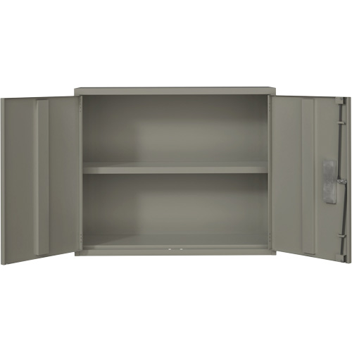 Wall Mounted Cabinet, Steel, 2 Shelves, 30" H x 36" W x 12" D, Grey Cam Industrial