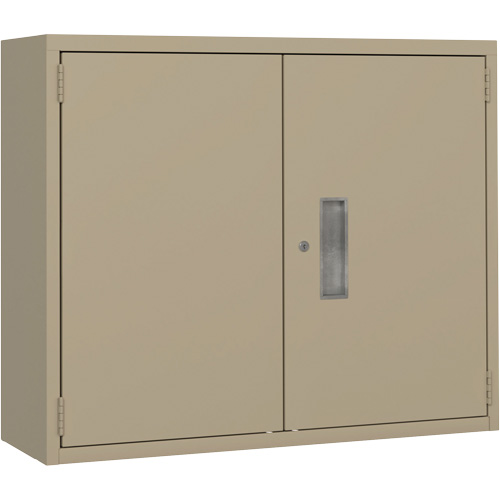 Wall Mounted Cabinet, Steel, 2 Shelves, 30" H x 36" W x 12" D, Beige Cam Industrial