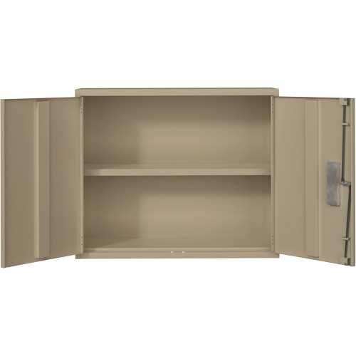 Wall Mounted Cabinet, Steel, 2 Shelves, 30" H x 36" W x 12" D, Beige Cam Industrial
