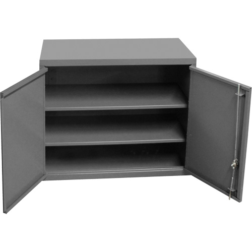 Wall-Mounted Cabinet, 27" H x 13-11/16" W x 35-7/8" D, 2 Shelves, Steel, Grey Cam Industrial