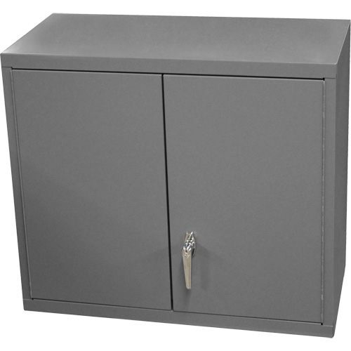 Wall-Mounted Cabinet, 27" H x 13-11/16" W x 35-7/8" D, 2 Shelves, Steel, Grey Cam Industrial