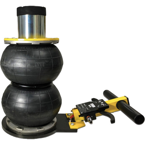 V&eacute;rin &agrave; coussin gonflable biphas&eacute; s&eacute;rie Pro, 2 tonne(s), 17" Hauteur &eacute;lev&eacute;e Cam Industrial