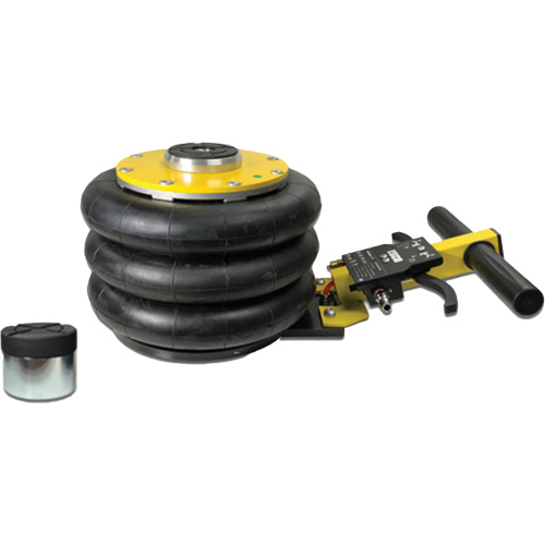 V&eacute;rin &agrave; coussin gonflable triphas&eacute; s&eacute;rie Pro, 2 tonne(s), 22" Hauteur &eacute;lev&eacute;e Cam Industrial