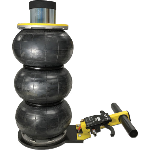 V&eacute;rin &agrave; coussin gonflable triphas&eacute; s&eacute;rie Pro, 2 tonne(s), 22" Hauteur &eacute;lev&eacute;e Cam Industrial