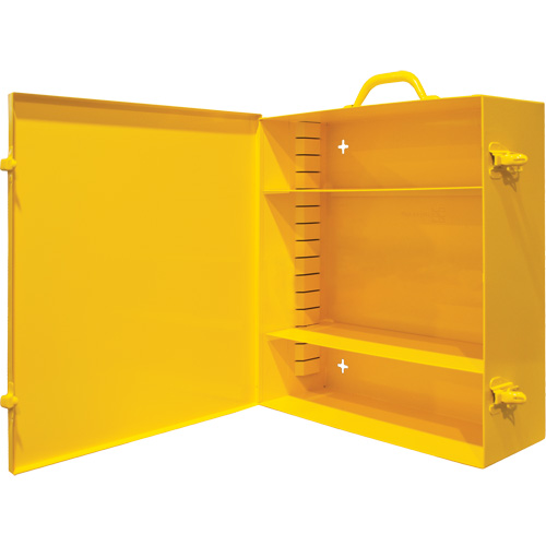 Wall-Mounting Spill Control Cabinet Cam Industrial