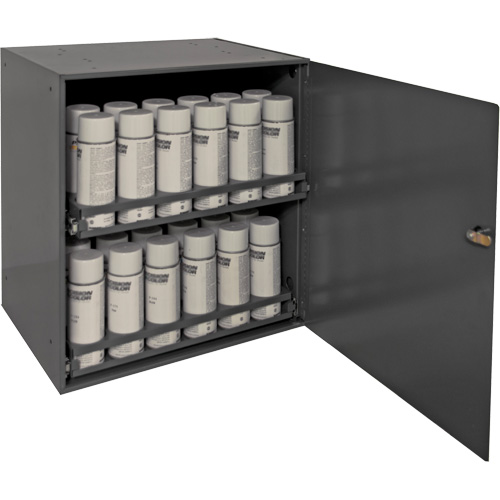 Aerosol Storage Cabinet, Steel, 21-7/8" H x 15-15/16" W x 20-5/16" D, Grey Cam Industrial