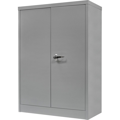 Counter-High Storage Cabinet, Steel, 2 Shelves, 42" H x 48" W x 24" D, Grey Cam Industrial