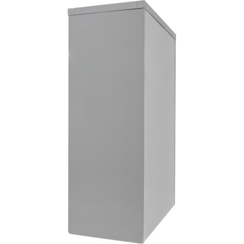 Counter-High Storage Cabinet, Steel, 2 Shelves, 42" H x 48" W x 24" D, Grey Cam Industrial