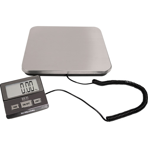 Balance de r&eacute;ception num&eacute;rique, Capacit&eacute; 220 lb, Graduations 1 lb Cam Industrial