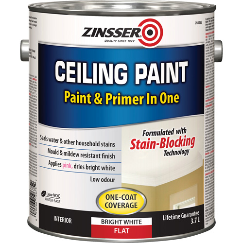 Peinture et appr&ecirc;t pour plafond en un seul produit, Blanc, Tr&egrave;s mat, 3,78 L, Gallon Cam Industrial