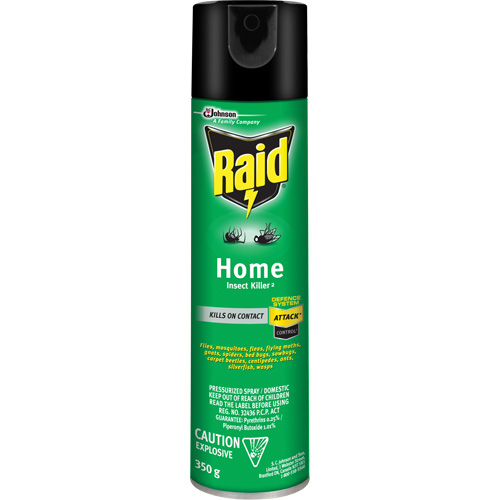 Insecticide pour insectes domestiques Raid, 350 g, &agrave; base de solvant Cam Industrial