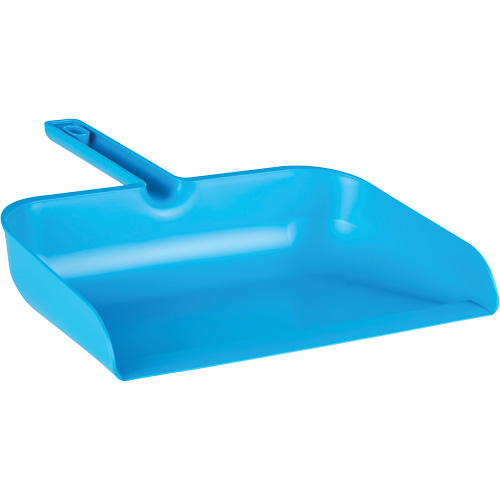 ColorCore Handheld Dustpan Cam Industrial