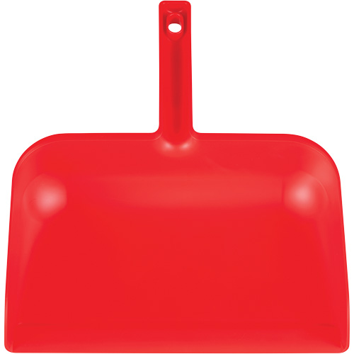 ColorCore Handheld Dustpan Cam Industrial