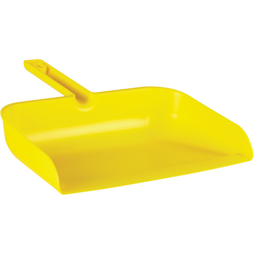 ColorCore Handheld Dustpan Cam Industrial