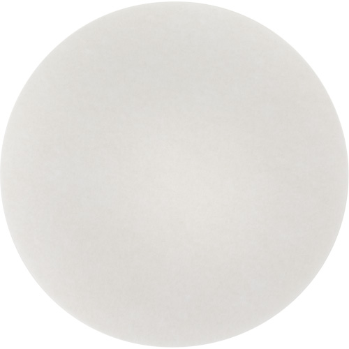 Tampon de nettoyage pour tapis, 19", Nettoyage, Blanc Cam Industrial