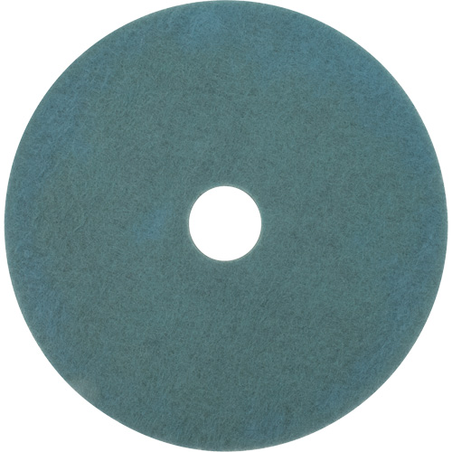 Tampon pour planchers, 17", Brunissage, Aqua Cam Industrial