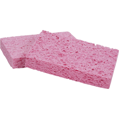 &eacute;ponge Scotch-Brite, Cellulose/Coulis/&agrave; r&eacute;curer, 3-2/3" la x 6" l Cam Industrial