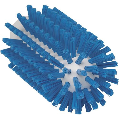 2.5" Brush, Stiff Bristles, 5-3/5" Long, Blue Cam Industrial