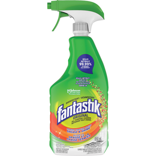 D&eacute;sinfectant nettoyant polyvalent Fantastik, 650 ml, Bouteille &agrave; g&acirc;chette Cam Industrial