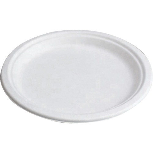 Assiettes compostables Cam Industrial