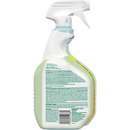CloroxPro Clorox EcoClean Disinfecting Cleaner, 946 ml, Trigger Bottle Cam Industrial