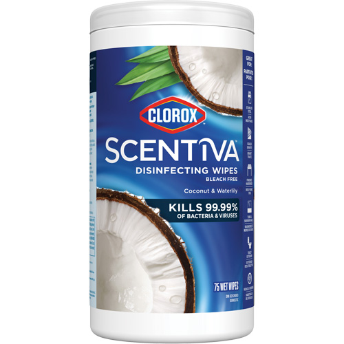 Disinfecting Wipes, 75 Count Cam Industrial