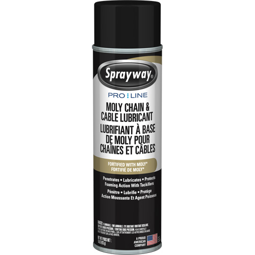 Lubrifiant au molybd&egrave;ne Pro Line pour chaînes et c&acirc;bles, Canette a&eacute;rosol Cam Industrial