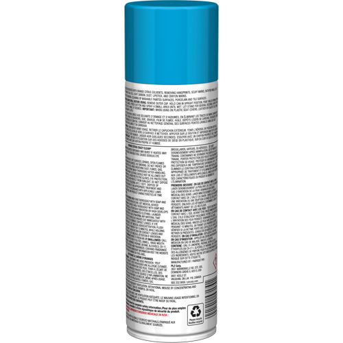 Nettoyant tout usage Pro Line Crazy Clean, 19 oz., Canette a&eacute;rosol Cam Industrial
