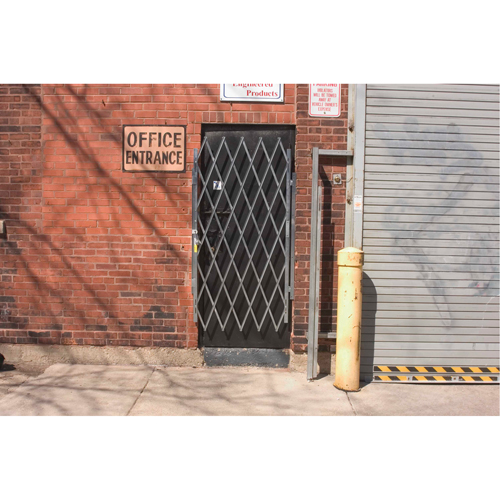 Heavy-Duty Door Gates, Single, 4' L x 6' 3" H Expanded Cam Industrial