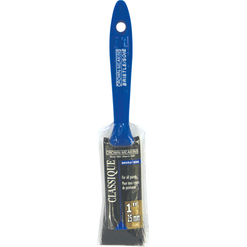 Pinceau classique, Soies, Manche Plastique, Largeur de 1" Cam Industrial